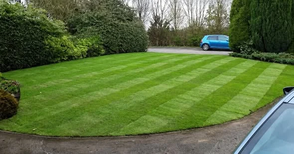Completed natural turf lawn with a curved edge at the front of a property