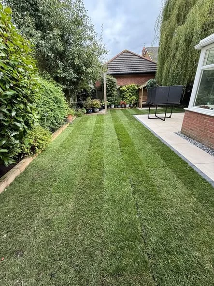 Freshly turfed rear lawn beside pale porcelain paving and established planting