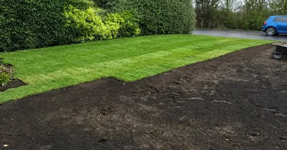 New natural turf meeting prepared soil along the front garden edge