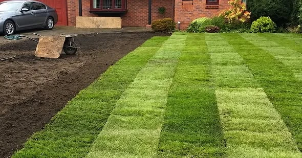 Fresh turf laid in rows across prepared ground in a front garden